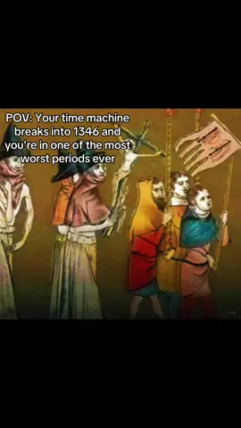 The black plague.. #blackplague #1346 #History #historytok #fyp 