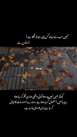 لوگوں سے متاثر ہونا چھوڑ دیں لوگ ویسے نہیں ہوتے جیسے نظر آتے ہیں  . . . Unfreeze my account ✅  #fyp #creatorsearchinsights #fryofficialpage #1millionaudition #novelskiduniya📚❤️ 