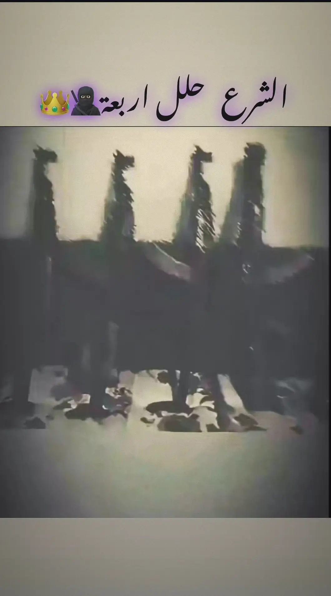 #الناصره_الشامخه👑🦅 #اعادة_النشر🔃 #viral  #لايك__explore___ #fypシ゚ 