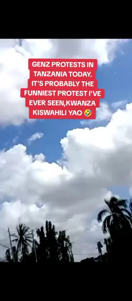 TANZANIA TODAY 🔥  #tanzaniatiktok #samiasuluhuhassan #tiktoklive #foryoupage #baruapepe 