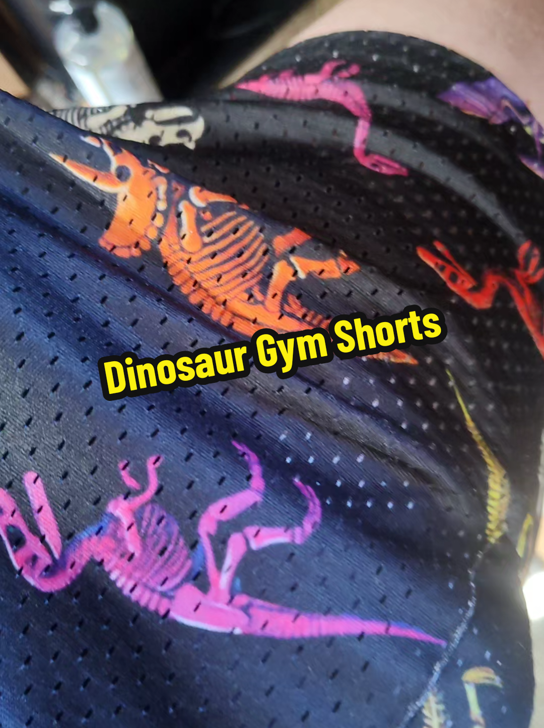 Replying to @jordanlightfoot56 Dinosaur 🦖 Rarr 😂 #dinosaurs #dinosaur #rar #dinosaurrarrrrr 