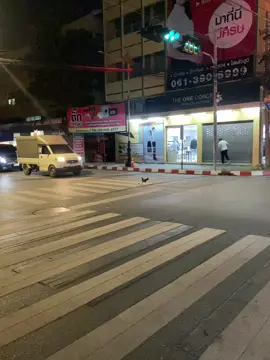 เกิดมาเพิ่งเคยเห็น ไก่ข้ามทางม้าลาย😂🐓  #ตลก  #ไก่  #นครปฐม  #ฟีดดดシ 