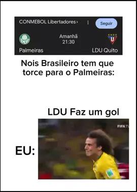tô maluco não kkkkkk #palmeiras #lduquito #libertadores #futebol 