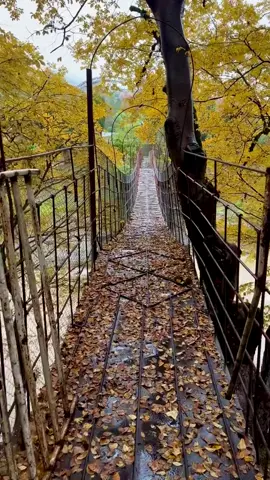 @Namiq Qasımov #keşfet 