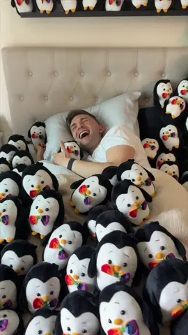 Mr Maple also loves penguins 🦮 ❤️🐧 #prank #couplesprank 