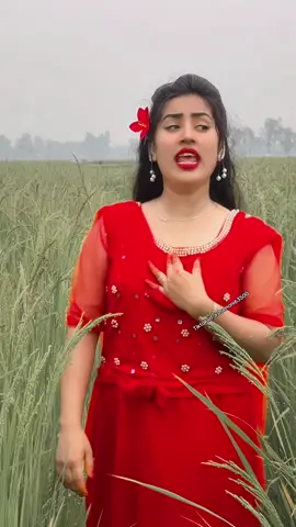 সব হারাইলাম এই জীবনে🥹💔#নতুন_ভিডিও_পেতে_লাইক_ফলো_শেয়ার_করুন #foryou #foryoupage #ashamoni63500 #trending @🔥মা ও মেয়ে🔥 @🌺☘️Aroshi Official ☘️🌺 @TikTok Bangladesh 