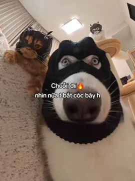 #xh #viral #chuỗi🔥 