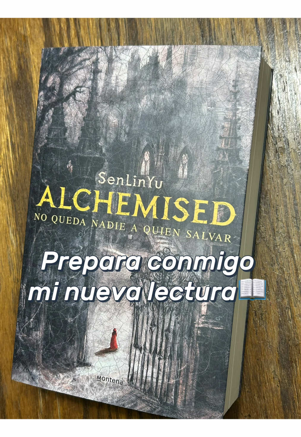 he estado con demasiado hype para leer este libro 😫                                    #BookTok #alchemised #libros #booktokespañol #chile 