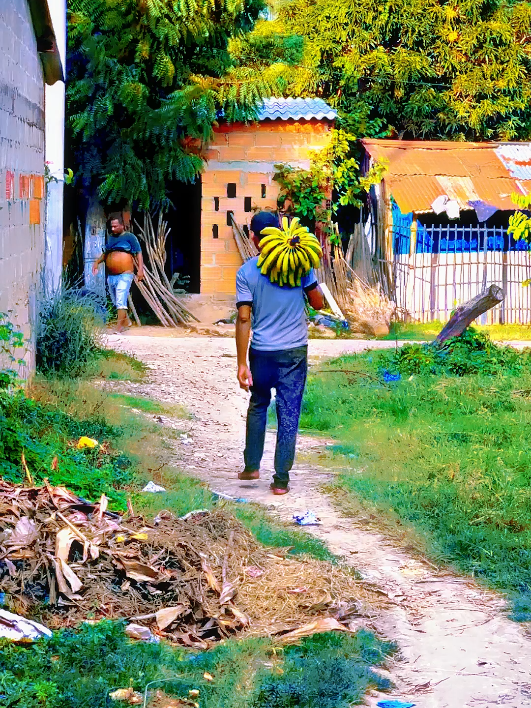 A lion escaped #funny #funnyvideos #funnymoments #funnyprank #comedy