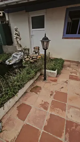 Journée émotions💀