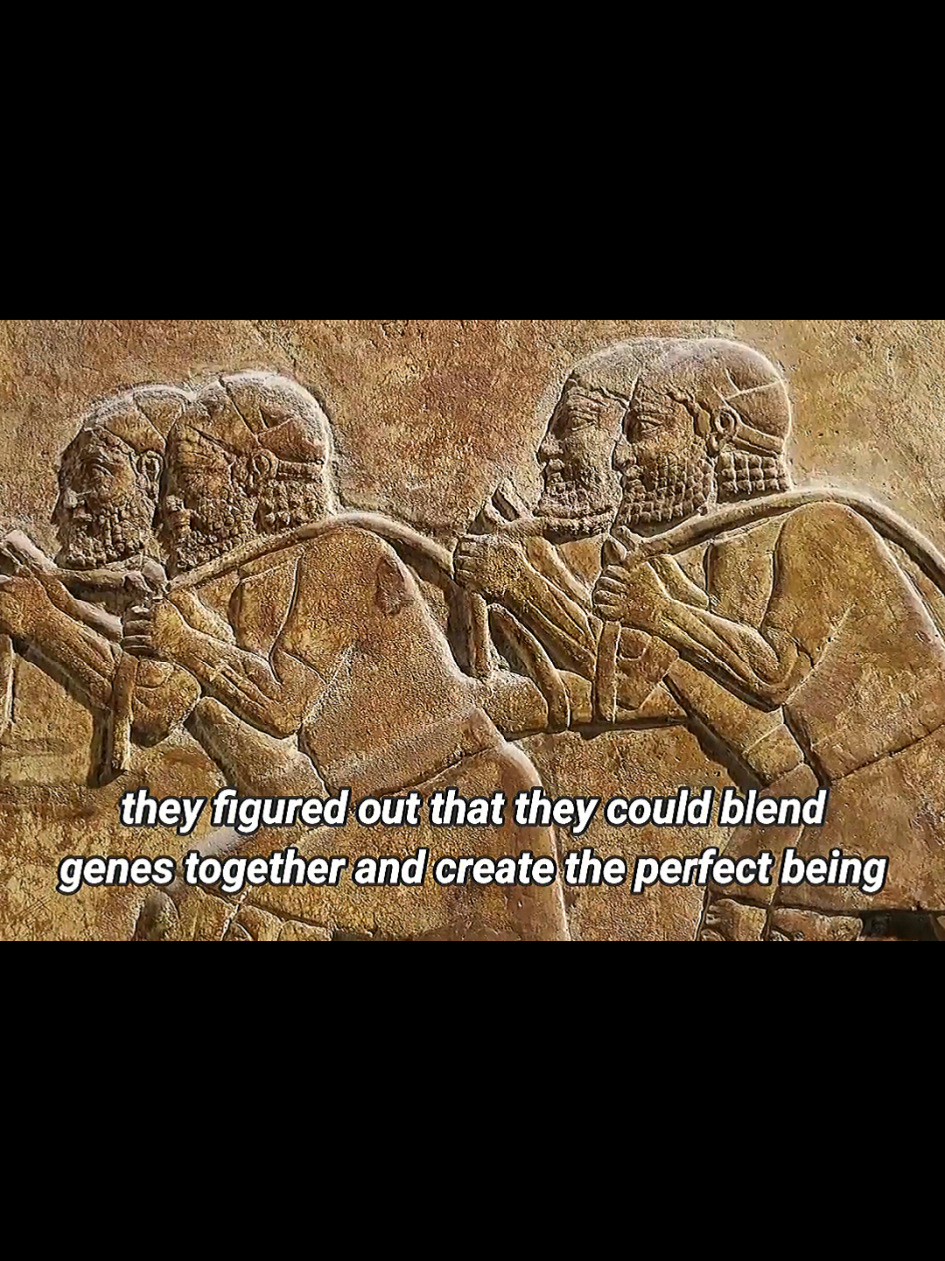 #9 Did the Anunnaki Engineer Humanity? Unveiling Sumerian Secrets #History #HistoricalFacts #egypt #DidYouKnow #OnThisDay #HistoryMatters #LearnHistory #HistoryUncovered   #PastToPresent   #TimeTravel   #HistoryBuff   #HistoryTalks   #UntoldHistory   #HistoryForYou   #TikTokHistory   #HistoryTok 