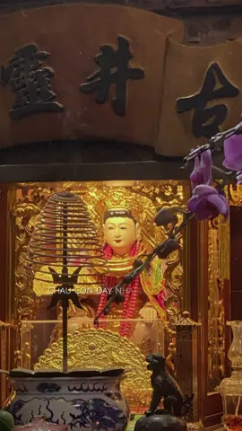 Cung nghinh Khánh Tiệc Thánh Cô Cửu Tỉnh 🙏🏻 Con sám hối lại Cô … Dạ Cô thương đệ tử con thêm chút ạ 🙏🏻🙇🏻‍♀️ #tinnguongthomauvietnam #tamtuphu #thanhcocuutinh #cochinsongson 