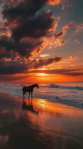 Time with a friend #Background #LiveWallpaper #Aesthetic #Nostalgia #freebieclip