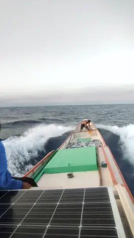 🌊#nttpride🏝🔥 