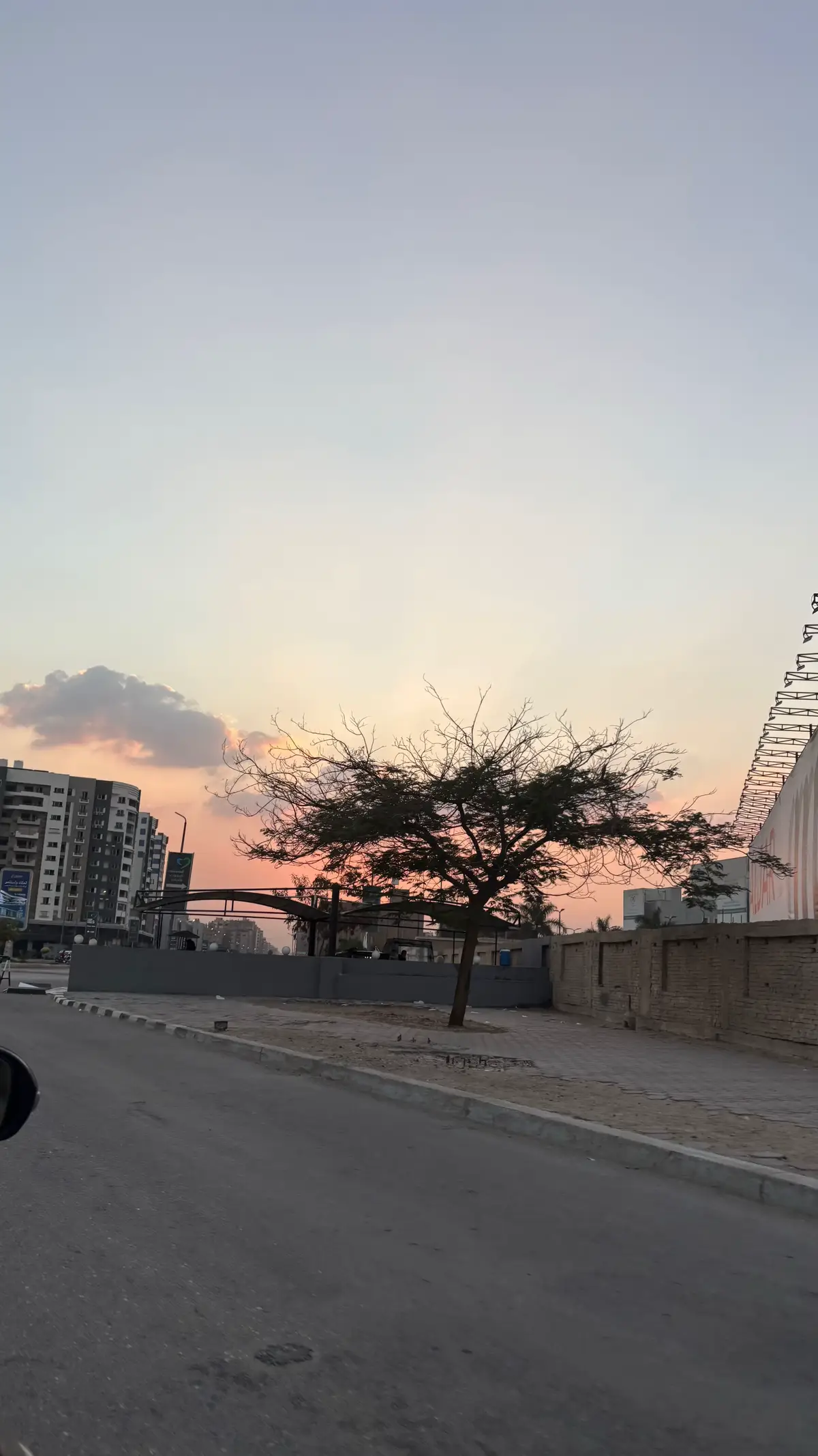 ✨🤍#egypt #gaza #طلبة_مصر #fyp #viral 