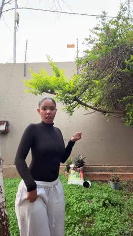 My fav #fyp #fyppppppppppppppppppppppp 