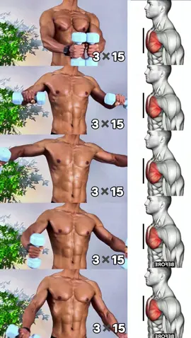 Chest workout #Fitness #athomeworkout #strongboy #chest #fyp 