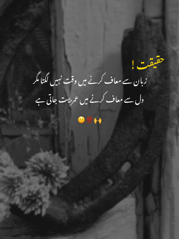 𝑻𝒓𝒖𝒆 𝑳𝒊𝒏𝒆𝒔 ✨ ‎#truelines#dontundereviewmyvideo #poetrylovers #pleasetiktokviralmyvideo #alfazefarhan ‎