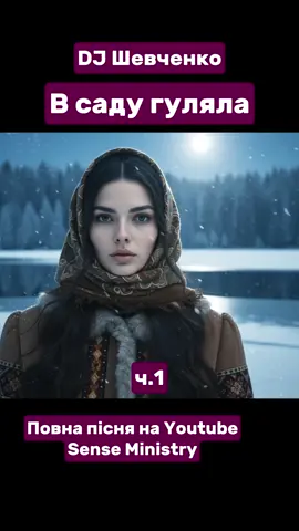 В саду гуляла #українськамузика #ukrainianmusic #українськамузика #djshevchenko 