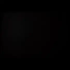 pérolas brasileira #memes #perolasbrasileira #flp 