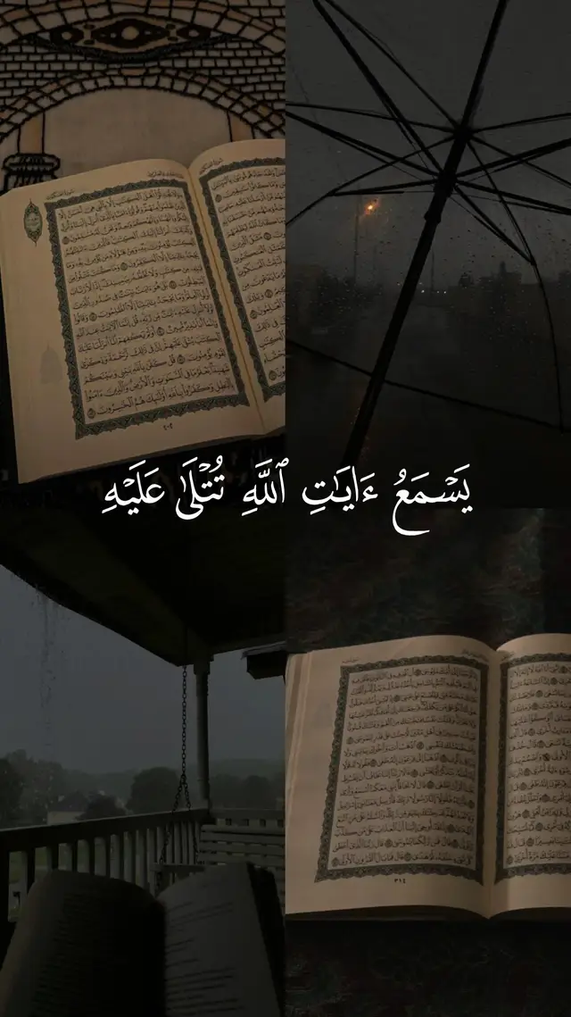 #ماهرالمعيقلي #قرآن #قرآن_كريم #quran_alkarim #quran 