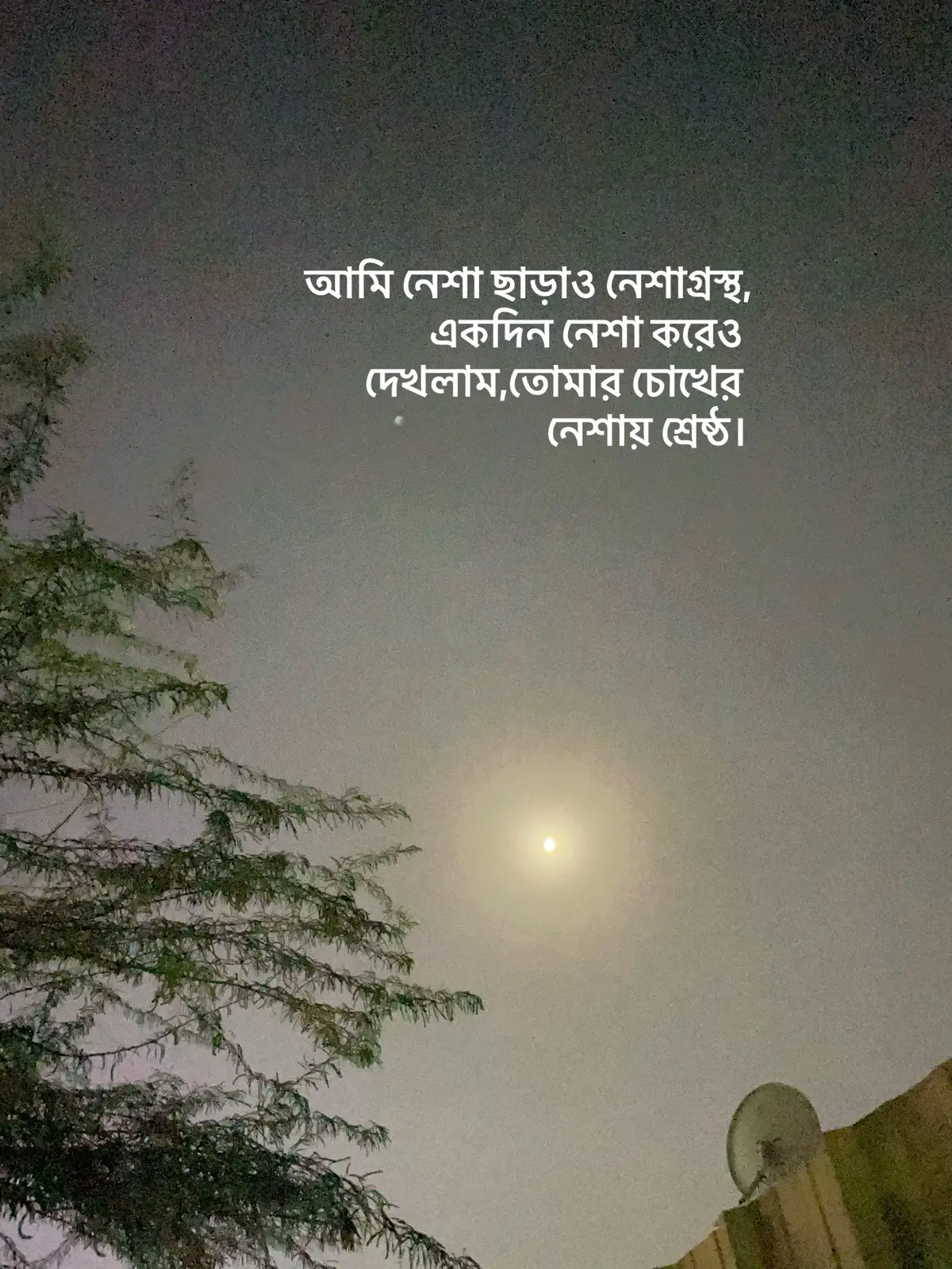 #viral?videotiktok😇😇 #trending #foryou 