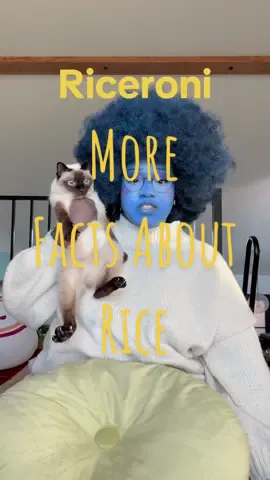 Rice is a cowboy for Halloween #ricethecat #catoftiktok 