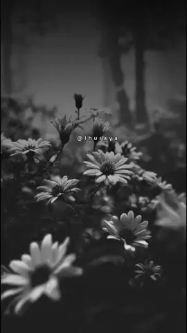 #خواطر#اقتباسات#حكم #اكسبلور#تصميمي