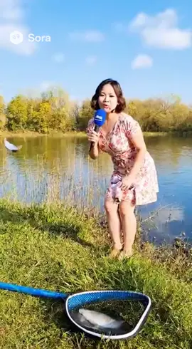 💥 생방송 중 물고기의 '격한 환영 인사'에 리포터 발라당! 😂 #리포터 #물고기점프 #생방송사고 #뉴스현장 #깜놀주의                                 