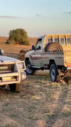 من البحر لي  عراضه الفزع في 🦅🦅🦅🦅#generalfaissalssleck #pcmt🇹🇩🇹🇩🔥 #tchadienne🇹🇩 #السعوديه🇸🇦 #سودانيز_تيك_توك 