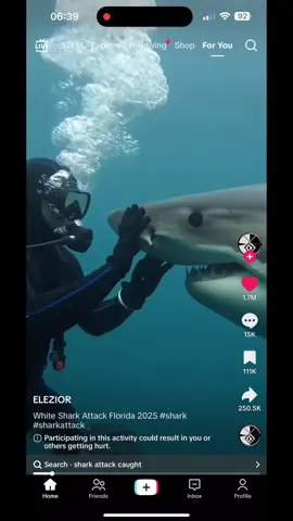Knowing how to stay alive is a skill. Follow me for more tips and tricks #loveable #website #shark #attack #stayalive 
