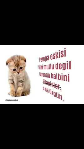 Olaylar çok ani geçti #fypシ゚ #kelfetbeniöneçıkar #yrrmıyekeşfet👍🏻😋 