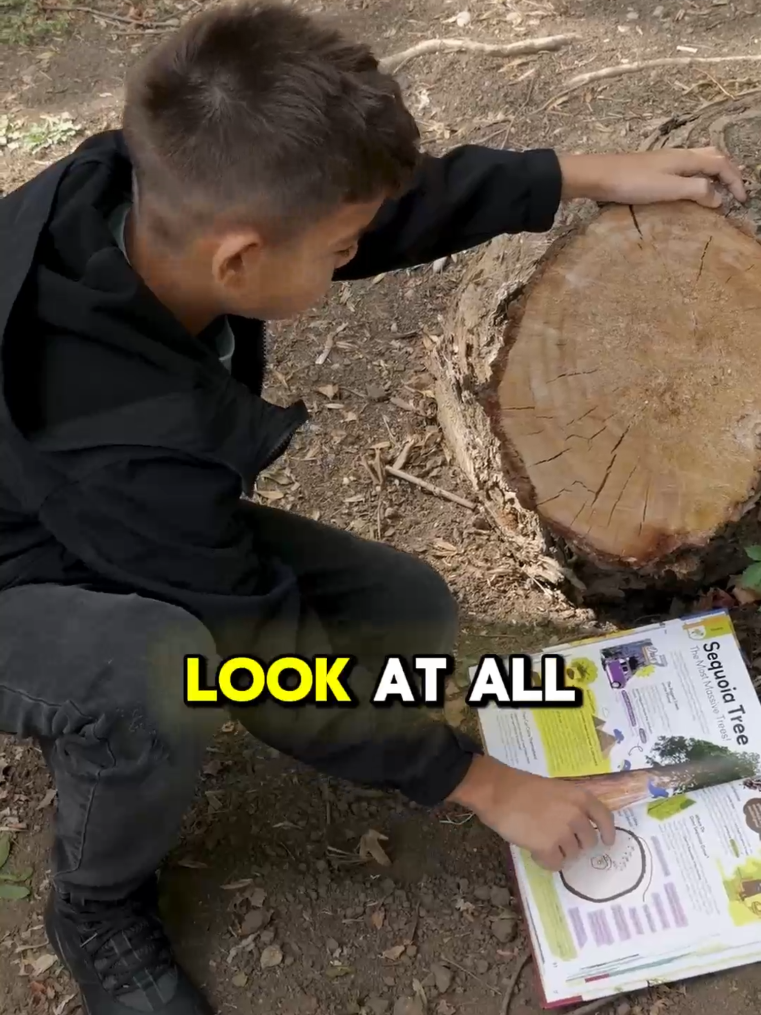 Toys break. 📱 Screens distract. 🌿 But this? This sparks real adventure. With My First Plant Book, your kids explore quests, build mini worlds, sail coconut boats, and discover that roses are older than dinosaurs 🌹🦖 and chocolate grows on trees 🍫🌳. It’s not a book — it’s the adventure of a lifetime. 💚 Tap the orange shopping cart to grab a copy before it’s gone! #MyFirstPlantBook #NatureForKids #STEMLearning #OutdoorFun #EducationalBook #ParentingTips #KidsActivities #EcoKids #LearningThroughPlay #AdventureBook