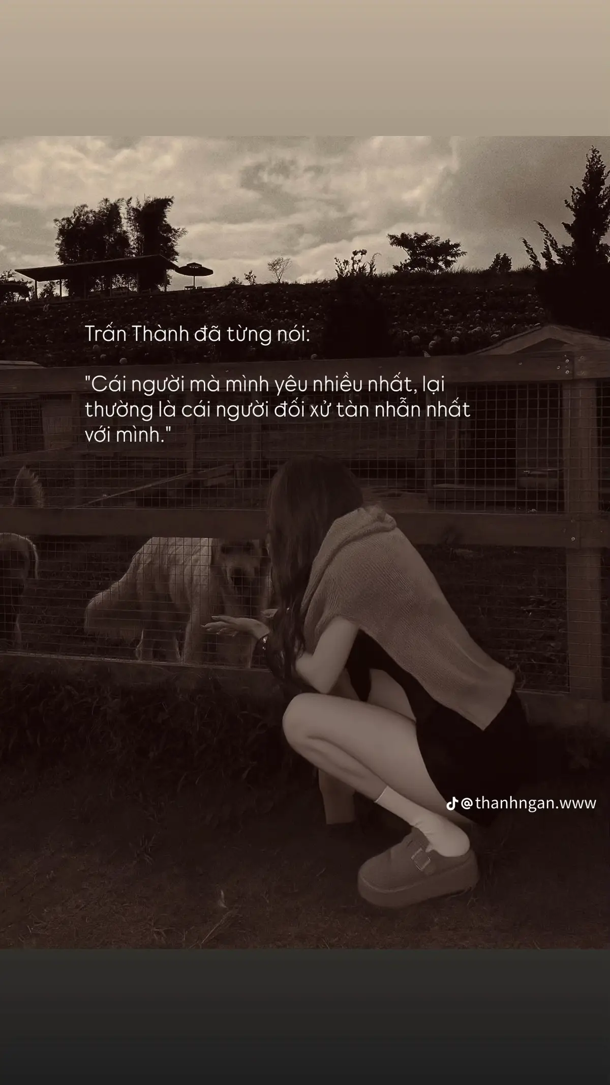 #viral #xuhuong #tinhyeuanhdanhchoem #chiyeuminhanh 