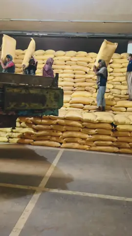 #sardarfarming #foryou #imrankhan #pti #punjab 