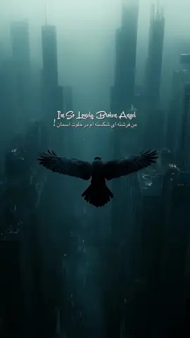 #lyrics_songs #foryouu #100k #غمگین #عاشقانه 🖤