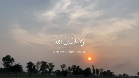 #quran #عبدالرحمن_مسعد 