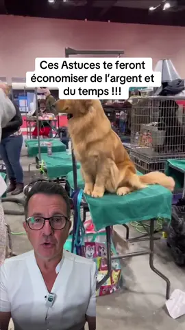 Ces conseils te feront économiser du temps et de l’argent… #chien #veterinaires #collagene 