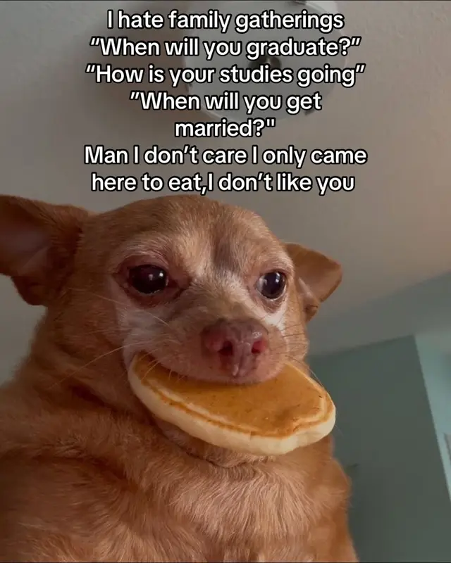 I only came for the pap and wors 