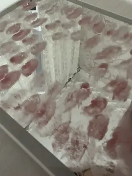 @Alice 🪽 : отмечайте своих Алис 