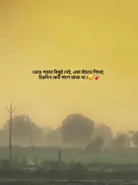 ভেঙে পড়ার কিছুই নেই, একা বাঁচতে শিখো, চিরদিন কেউ পাশে থাকে না.!😊❤️‍🩹 #foryou_ #foryoupage #trending_ #vairal_ #1million_tik_tok