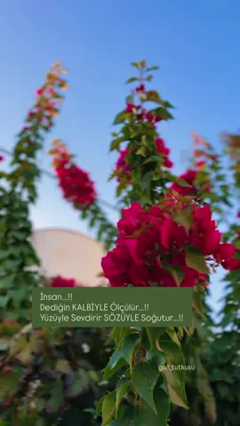 Huzurlu akşamlar dilerim 🥀🕊️ #keşfett 