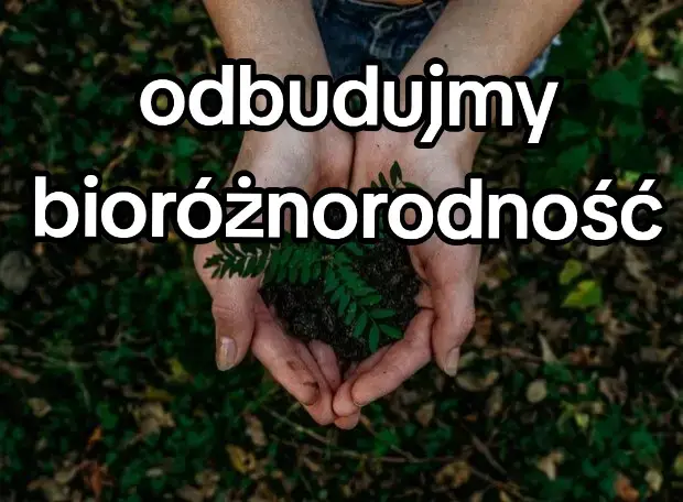 Hodowla zwierząt to jeden z głównych czynników utraty bioróżnorodności na naszej planecie. Aby tworzyć pastwiska i pola uprawne na paszę (głównie soję i kukurydzę), wycina się ogromne obszary lasów tropikalnych - zwłaszcza w Amazonii. Szacuje się, że nawet 80% wylesiania w tym regionie jest powiązane z produkcją mięsa i paszy dla zwierząt hodowlanych. Wraz z wycinką znikają domy dla milionów gatunków - ptaków, owadów, ssaków i roślin, które nie są w stanie przetrwać poza naturalnym środowiskiem. Lasy deszczowe to płuca planety i siedlisko ponad połowy wszystkich gatunków na Ziemi. Wybierając dietę roślinną, zmniejszasz presję na te ekosystemy. Każdy roślinny posiłek to krok w stronę przywracania równowagi w przyrodzie i ochrony życia, które ginie w cieniu przemysłu mięsnego. #vegan #planbased #forest #deforestation #wegetarianizm 