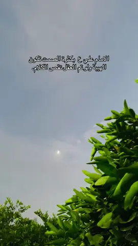 #حسين_التگريتي #تكريت #العلم #الحاوي #عشوايات 