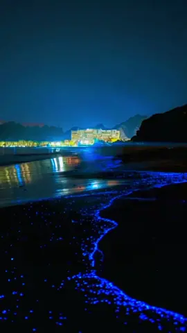 🇴🇲 blue tears  الدموع الزرقاء