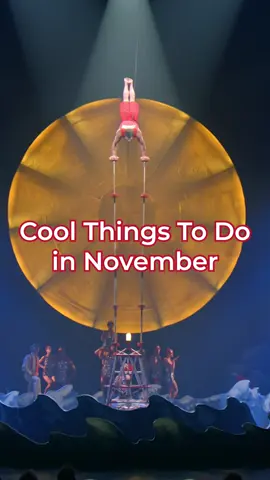 The holidays are here. And there's plenty of Cool Things to do in November in Atlanta for Thanksgiving, plus lots of holiday activities starting. 🦃🎄 💀 Day of the Dead at Oakland Cemetery on Nov. 2 🎮 DreamHack at Georgia World Congress Center through Nov. 2 🤸 Cirque du Soleil LUZIA at Atlantic Station starting Nov. 6 ⛰️ Stone Mountain Christmas starting Nov. 8 🌶️ Chomp and Stomp in Cabbagetown on Nov. 8 🌰 WildWoods: AGLOW at Fernbank Museum starting Nov. 14 🎄Garden Lights, Holiday Nights at Atlanta Botanical Garden starting Nov. 15 👟 Invesco QQQ Thanksgiving Day races starting in Summerhill 🎅Christkindl Market at their new location in the Lawrenceville Lawn starting Nov. 28 🍗 Here's a few restaurants open on Thanksgiving: Tio Lucho's, Sweet Auburn Barbecue, AltaToro, South City Kitchen, El Super Pan 🏈 Georgia vs. Georgia Tech at Mercedes-Benz Stadium on Nov. 28 Find more cool things to do this November at the #linkinbio. #DiscoverATL #thingstodo