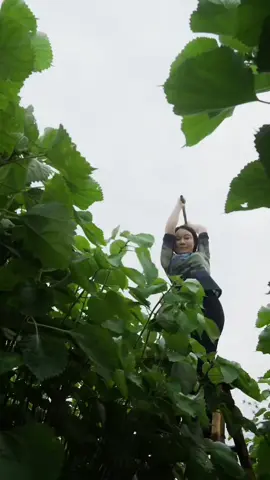 kerajinan kain tradisional #tradisional #china #rami 