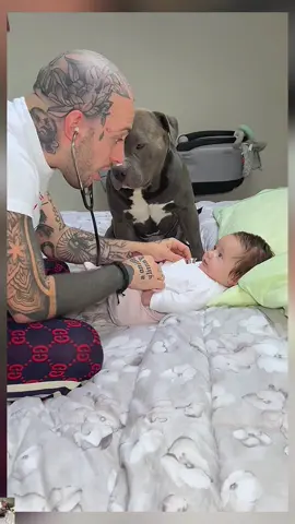 Mino so cute 🥰🥰 #pet #dog #baby #petoftiktok #dogoftiktok 