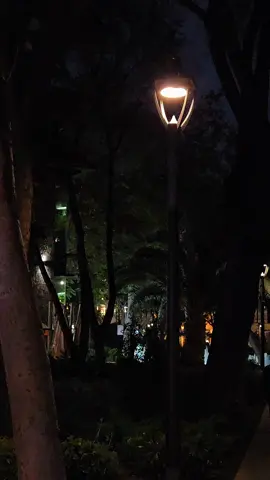 Bəzən susmaq ən sərt cavabdı, çünki o səssizlikdə min söz yatır. O səssizlik elə bir dənizdi ki, içinə girən boğulur, amma səthində heç bir dalğa görünmür. İnsan danışmadıqca içində yığılır hər şey qırılmış ümidlər, unudulmuş dualar və bir gün sadəcə baxışların danışır sənin yerinə. Bəziləri susduğunu anlamaz, elə bilərlər vecinə deyil, amma bilməzlər ki, sükut da bəzən qışqırmaq kimidi sadəcə səssiz formada. Dilin demədiyini, gözlərin danışır, gözlərin demədiyini, gecələr deyir tək olanda, sakit olanda. Sükutda elə bir yanğı var ki, onu ancaq ürəyi dolu olanlar hiss edir. Və ən acısı nədi bilirsən? Sən susduqca, elə bil dünya da səni unutmaq üçün daha da sakitləşir… #mrdbshv 