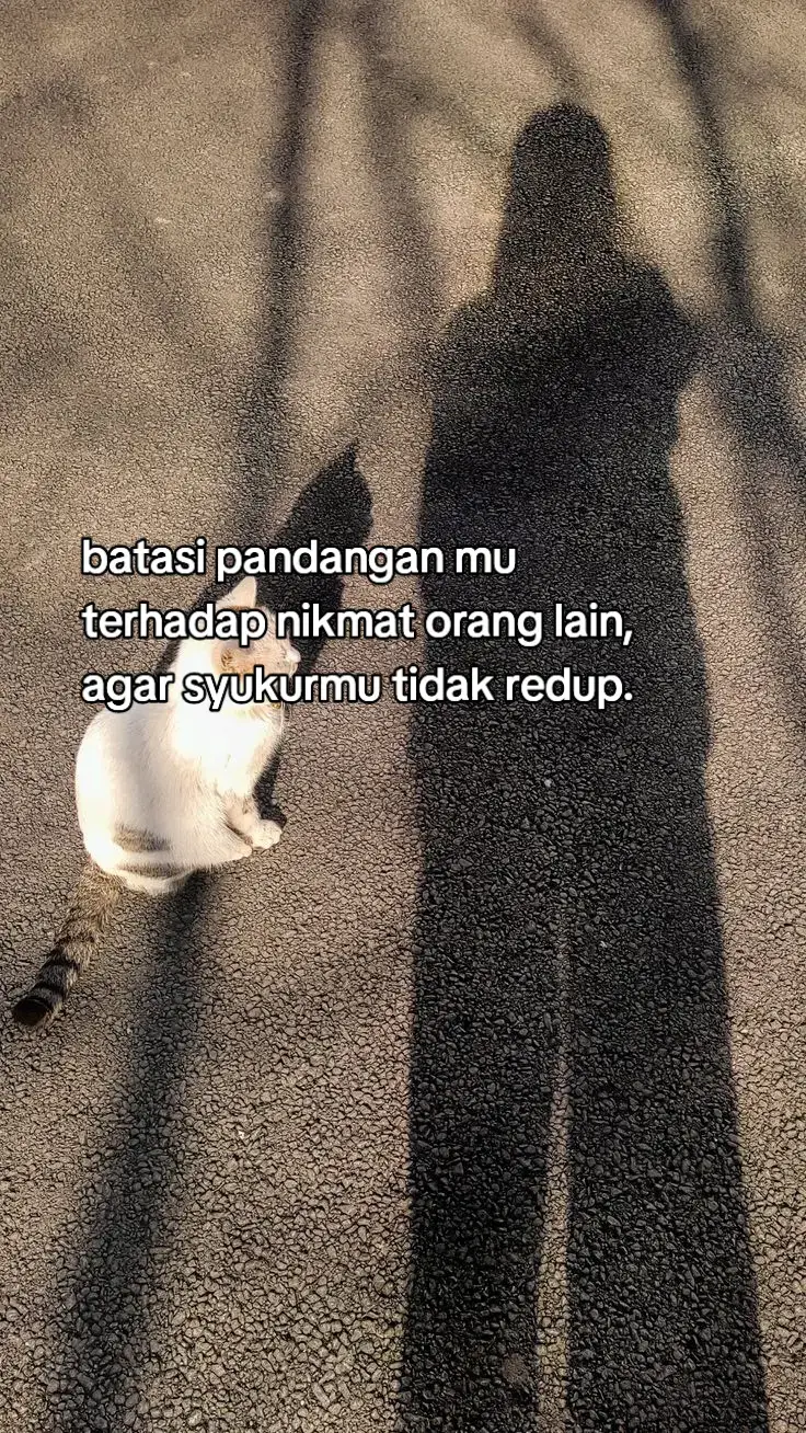 batasi pandangan mu terhadap nikmat orang lain, agar syukurmu tidak redup. #storytime⏳ #storywhatsapp #foryoupage❤️❤️ 